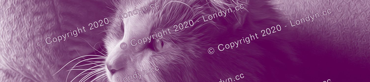 Londyn (londyn.cc)